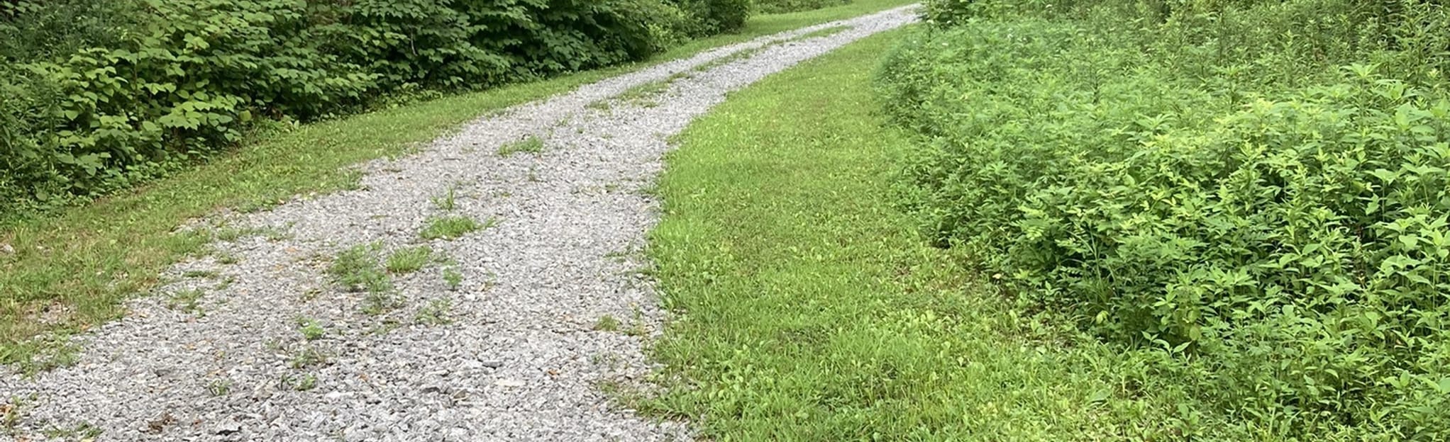 Kingswood Treadway, Tennessee 32 Reviews, Map AllTrails