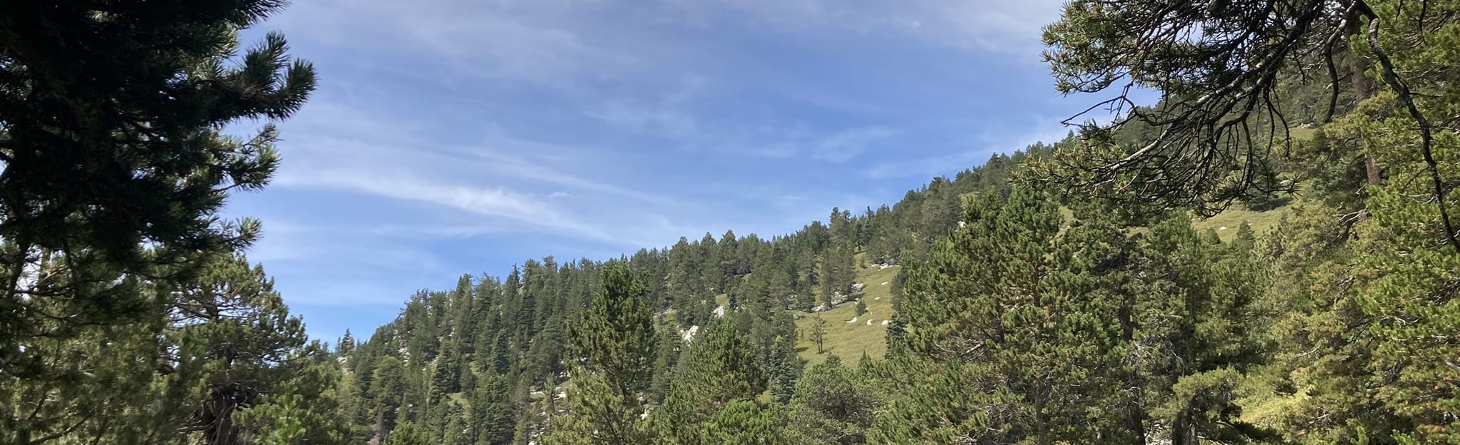 Devil 39 s Slide Trail Willow Creek - EyJidWNrZXQiOiJhc3NldHMuYWxsdHJhaWxzLmNvbSIsImtleSI6InVwbG9hZHMvcGhvdG8vaW1hZ2UvNDk4MTE0OTAvN2I3ZDJkZWI4Y2IxZGUzNGUyNjk3OTdkNzA2NWMwN2MuanBnIiwiZWRpdHMiOnsidG9Gb3JtYXQiOiJqcGVnIiwicmVzaXplIjp7IndpZHRoIjoyMDQ0LCJoZWlnaHQiOjYyNCwiZml0IjoiY292ZXIifSwicm90YXRlIjpudWxsLCJqcGVnIjp7InRyZWxsaXNRdWFudGlzYXRpb24iOnRydWUsIm92ZXJzaG9vdERlcmluZ2luZyI6dHJ1ZSwib3B0aW1pc2VTY2FucyI6dHJ1ZSwicXVhbnRpc2F0aW9uVGFibGUiOjN9fX0=