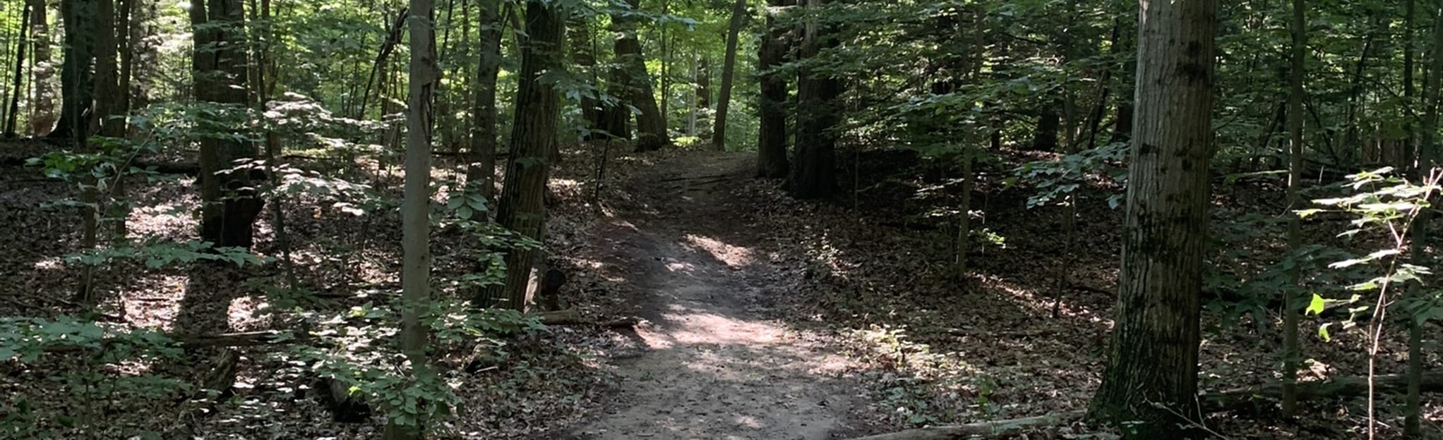 Kirk Park Loop, Michigan 121 Reviews, Map AllTrails