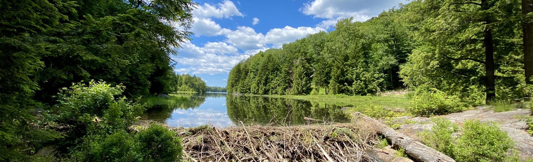 Jockeybush Lake Trail, New York 139 Reviews, Map AllTrails