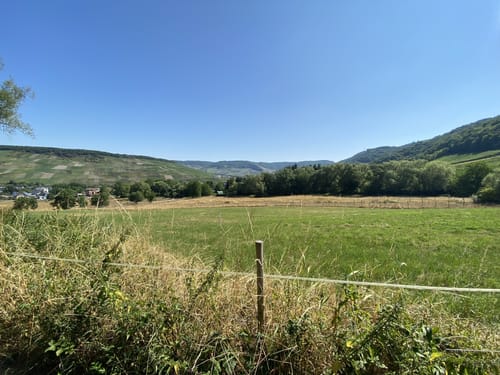 Panoramaweg Mülheim an der Mosel