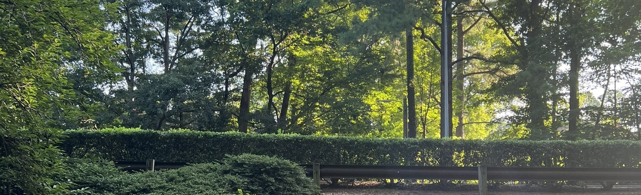 Woodcroft Walking Trails, North Carolina 132 Reviews, Map AllTrails