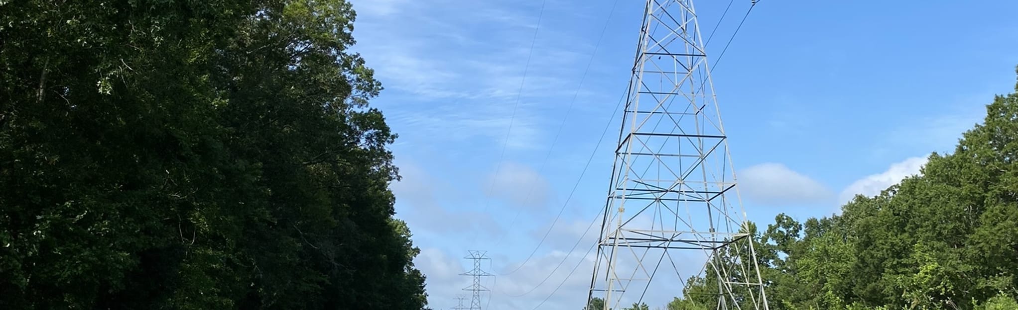 Arbor Glen Nature Trail 9 Reviews, Map North Carolina AllTrails