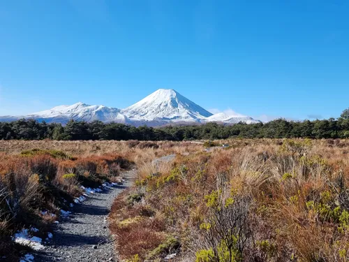 10 Best Hikes and Trails in Tongariro National Park | AllTrails