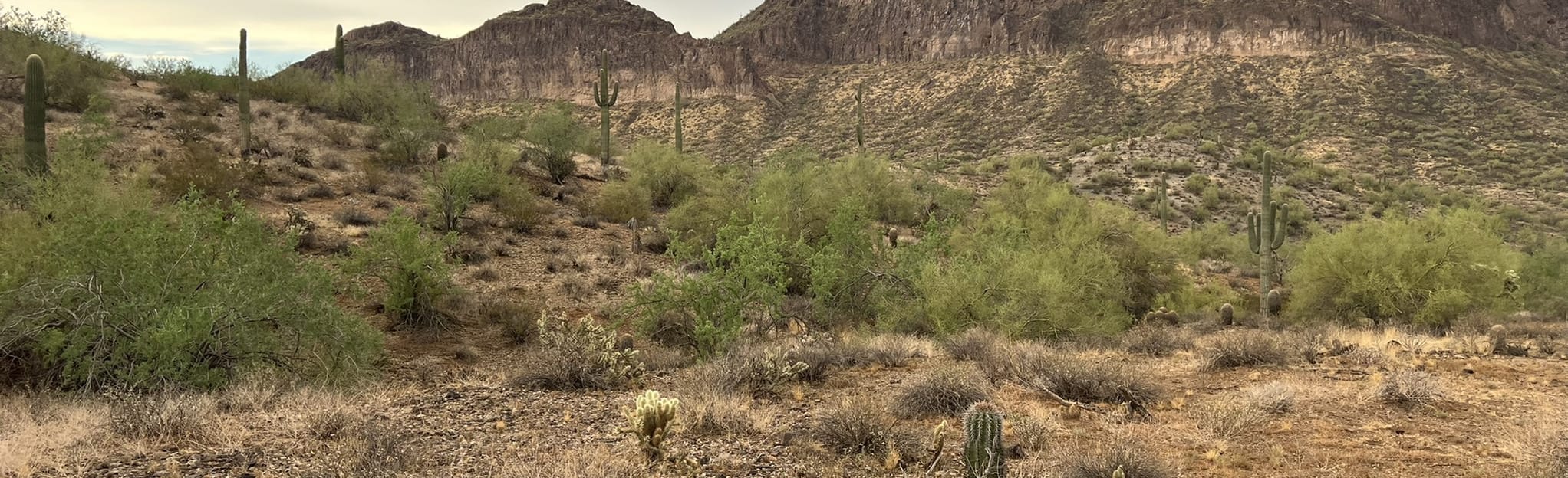 Rock Peak Wash, San Tan, and Malpais Trail, Arizona 264 Reviews, Map AllTrails