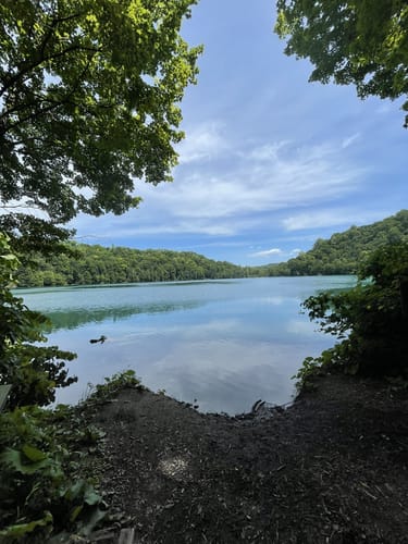 are dogs allowed at green lakes state park