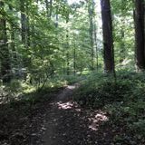 Avalon Loop Trail, Maryland - 293 Reviews, Map | AllTrails