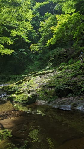 MuroAkameAoyama QuasiNational Park as 10 melhores trilhas com vida