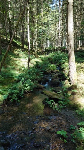 Böbrach Wanderroute 10