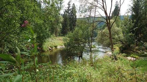 Böbrach Wanderroute 10