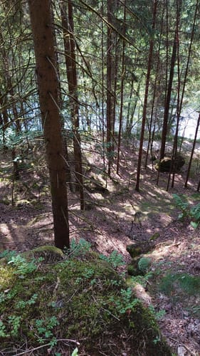Böbrach Wanderroute 10