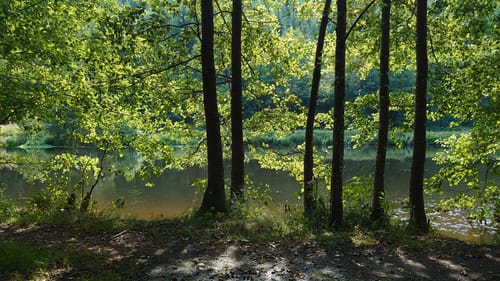 Böbrach Wanderroute 10