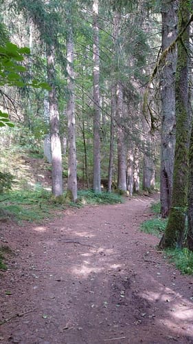 Böbrach Wanderroute 10
