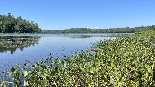 Best Hikes and Trails in Edward MacDowell Lake | AllTrails