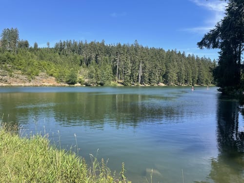 Liebesbankweg (Premiumwanderweg)