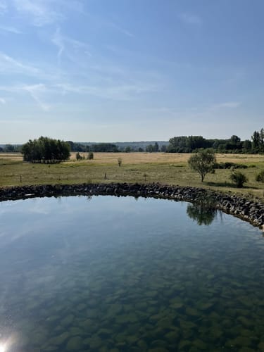 Von Ingelheim zum Heidesheim und den Inselrhein