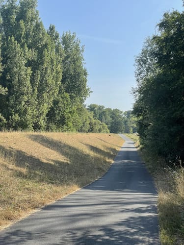 Von Ingelheim zum Heidesheim und den Inselrhein