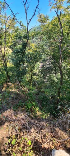 Waldbreitbacher Wiedtraum
