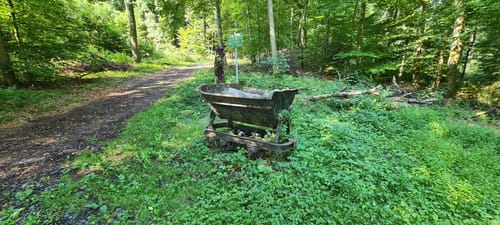 Waldbreitbacher Wiedtraum