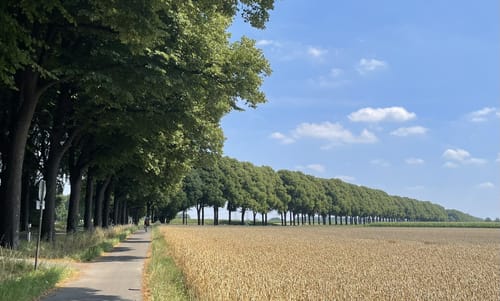 RSG Herne RTF 2020 - Fahrt in den Frühling  - 41er Strecke