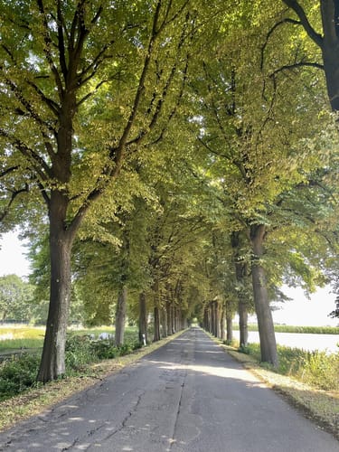 RSG Herne RTF 2020 - Fahrt in den Frühling  - 41er Strecke