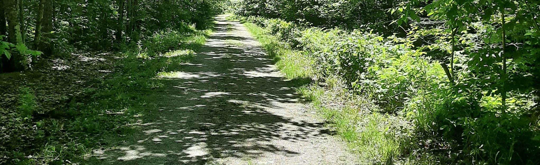 North Gate to Great Meadow, Maine 134 Reviews, Map AllTrails