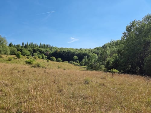 Göttingen Kehr - Wenekopf - Sauberg