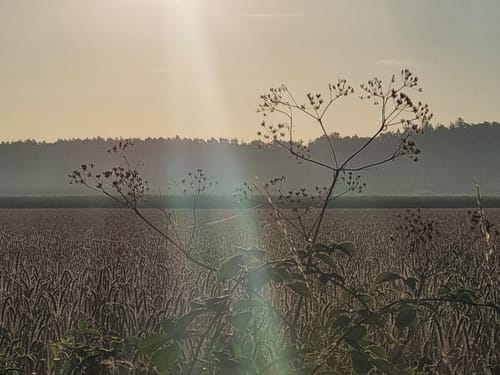 Rund um Neumünster