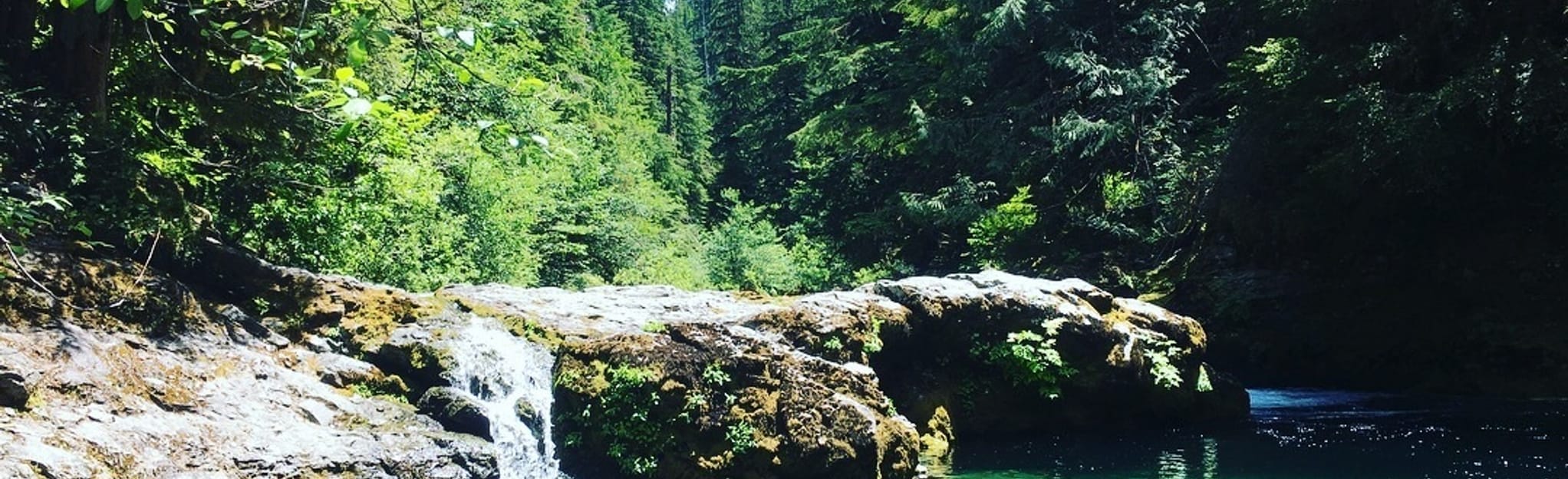 Opal Creek to Jawbone Flats Loop [CLOSED], Oregon - 498 Reviews, Map ...