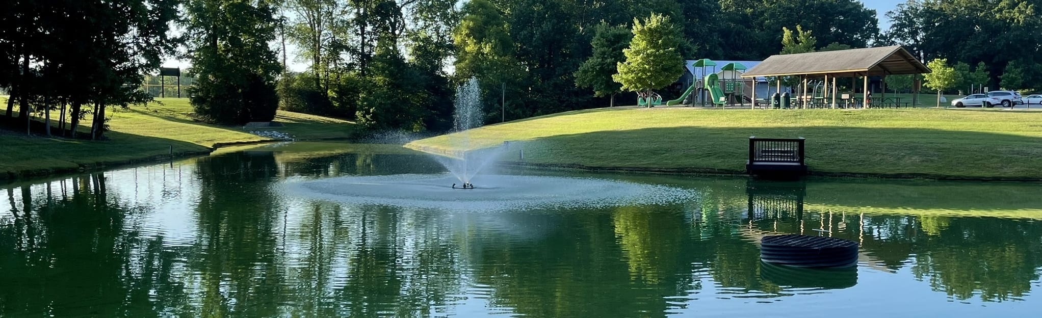 Oak Ridge Town Park Loop, North Carolina 173 Reviews, Map AllTrails