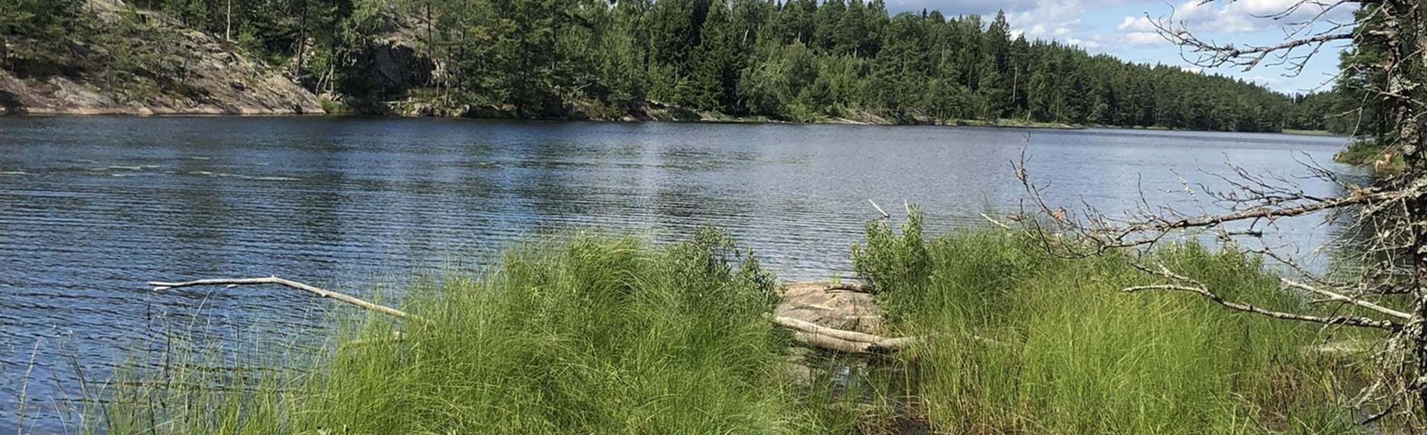 Långsjön - Stensjön - Gammelmyra Loop Rundweg: 152 Fotos - Stockholms ...