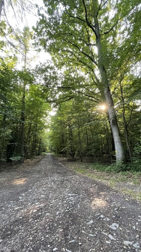 Platte Heide Waldrunde