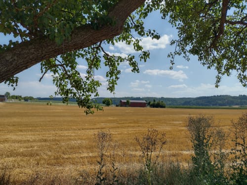 Von Burg Löffelstelz entlang der Enz