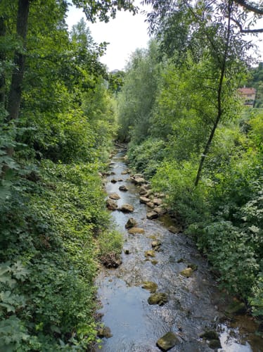 Von Burg Löffelstelz entlang der Enz