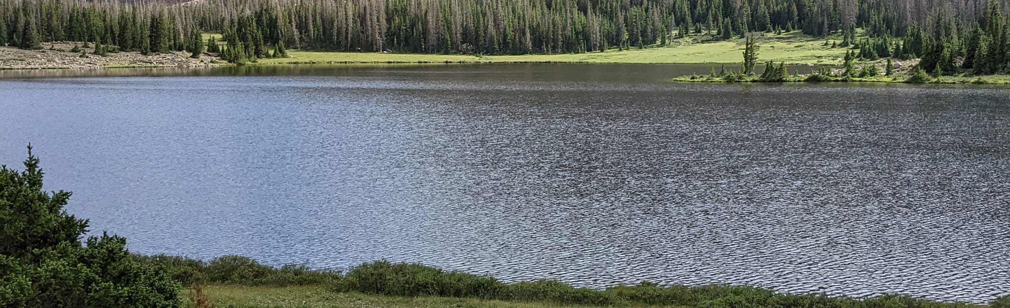 West Fork Whiterocks Trail, Utah 2 Reviews, Map AllTrails