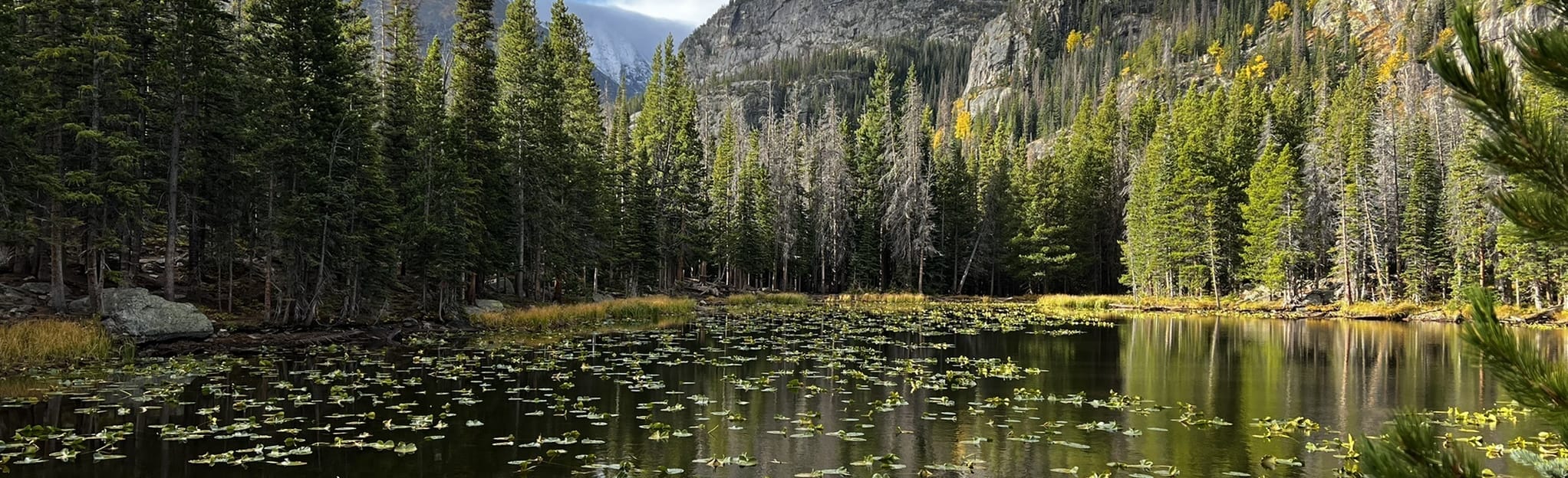 Moose Lake Trail: 6 Reviews, Map - Montana | AllTrails