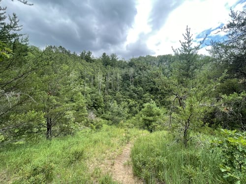 Best hikes and trails in Atlanta State Forest Area | AllTrails