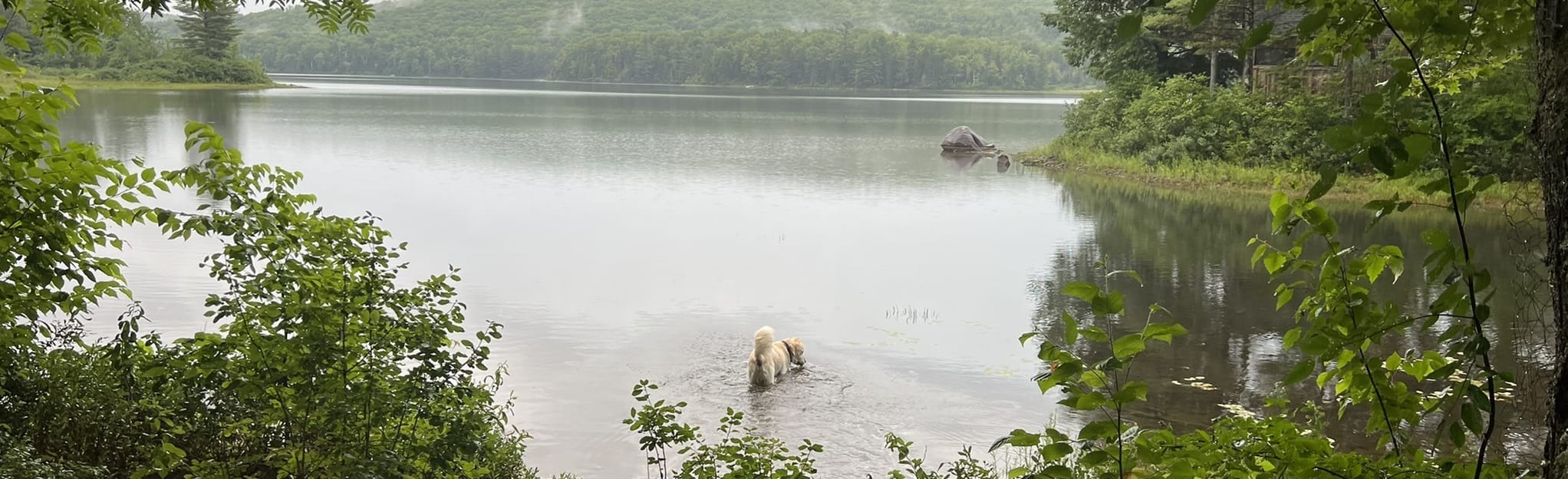 Cummins Pond and Daniels Road Loop 23 Reviews, Map New Hampshire