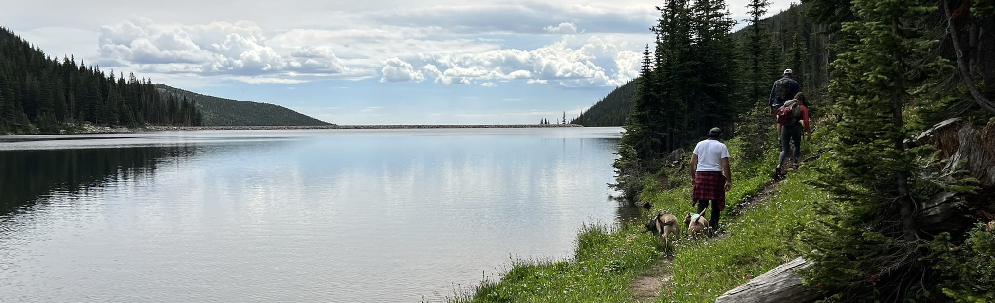 Fall River Reservoir 57 Reviews, Map Colorado AllTrails