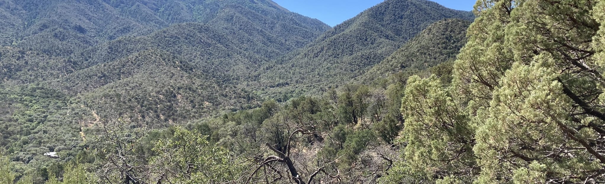 Madera Canyon Nature Trail Map, Guide Arizona AllTrails