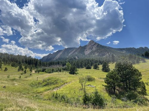 are dogs allowed at chautauqua park