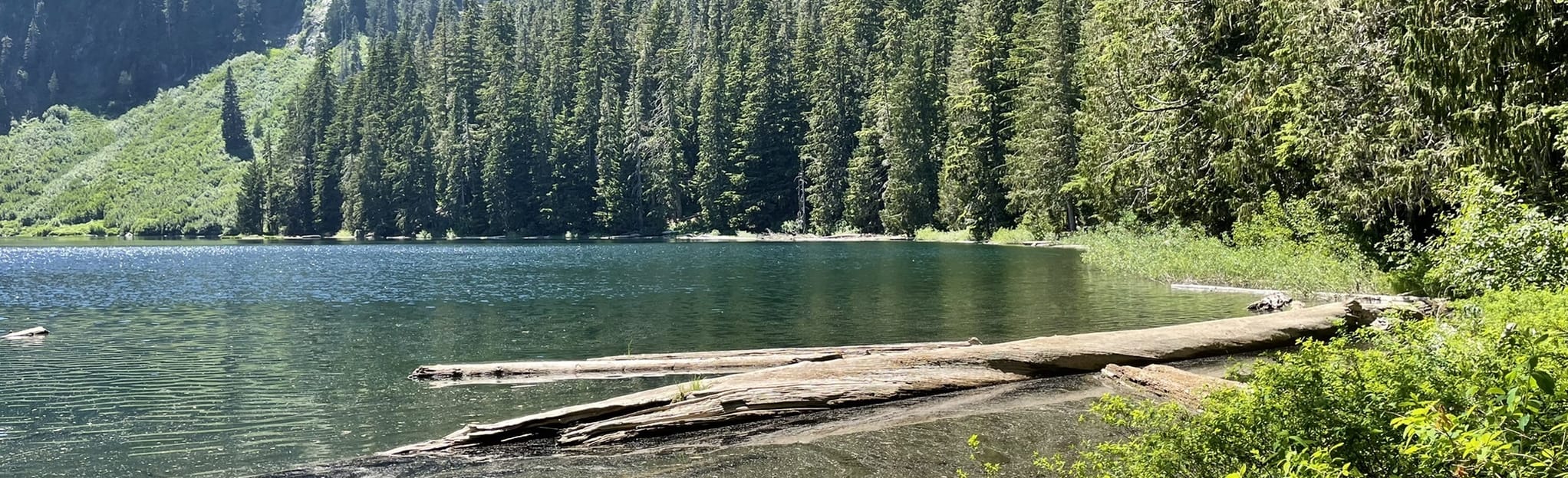 Cora Lake Trail, Washington - 231 Reviews, Map | AllTrails