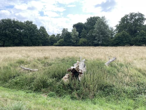 Troisdorf:  Aggerauen-Tour