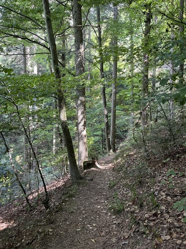 Oberglottertal Rundweg