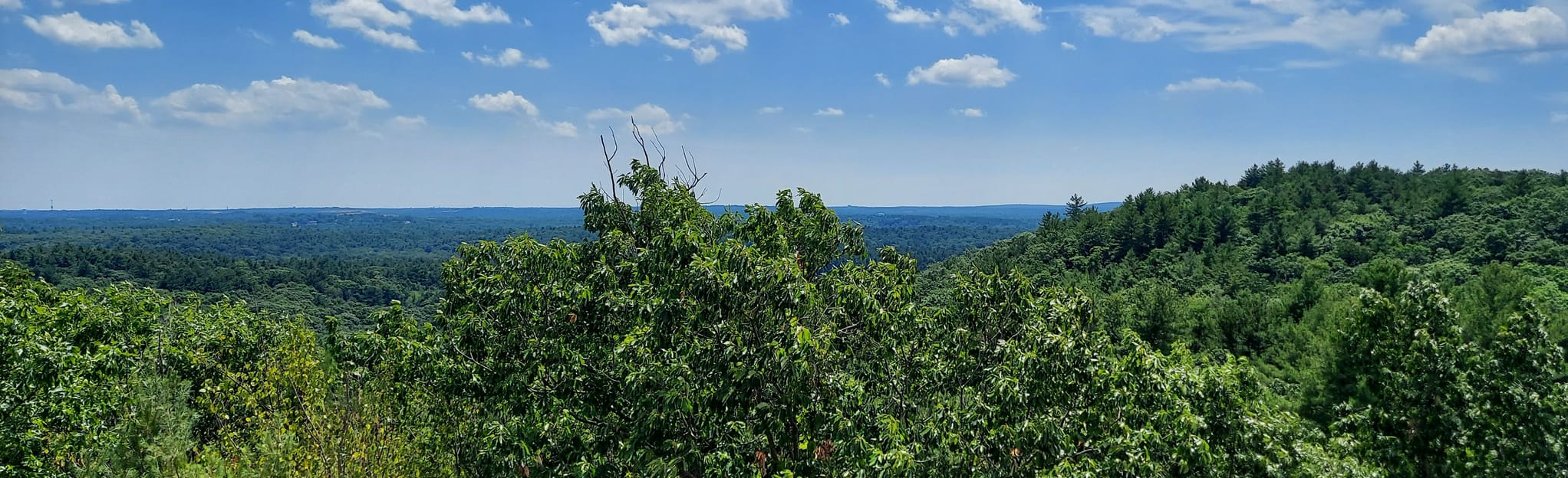 Museum to Skyline Loop 991 Reviews - EyJidWNrZXQiOiJhc3NldHMuYWxsdHJhaWxzLmNvbSIsImtleSI6InVwbG9hZHMvcGhvdG8vaW1hZ2UvNDk5NjY0NzYvMjc5N2MwODE4NWZmMGMzZjFmOWU2NDdmZjM2M2U4NWYuanBnIiwiZWRpdHMiOnsidG9Gb3JtYXQiOiJqcGVnIiwicmVzaXplIjp7IndpZHRoIjoyMDQ0LCJoZWlnaHQiOjYyNCwiZml0IjoiY292ZXIifSwicm90YXRlIjpudWxsLCJqcGVnIjp7InRyZWxsaXNRdWFudGlzYXRpb24iOnRydWUsIm92ZXJzaG9vdERlcmluZ2luZyI6dHJ1ZSwib3B0aW1pc2VTY2FucyI6dHJ1ZSwicXVhbnRpc2F0aW9uVGFibGUiOjN9fX0=