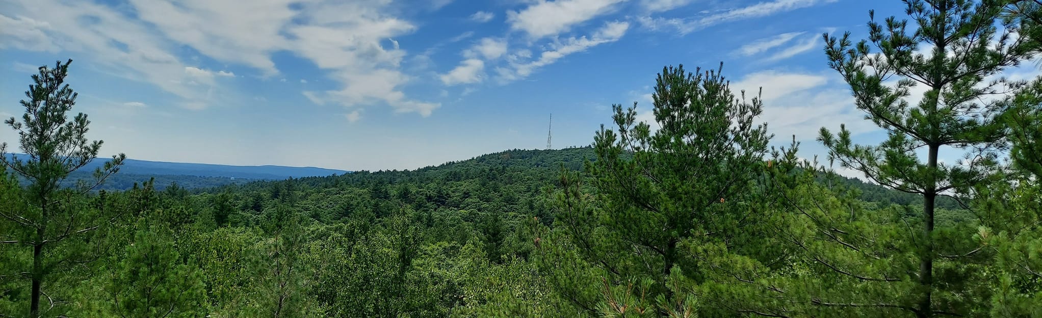 Wolcott Path and Puddle Path to Hemenway Hill 112 Reviews, Map