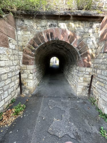 Rundwanderweg Lorch 3
