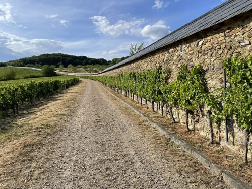 Hattenheim Rundweg