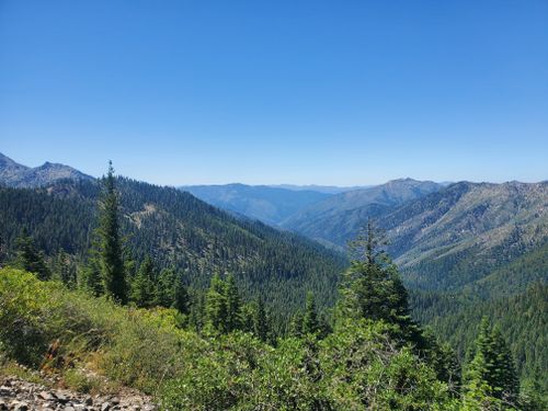 are dogs allowed at klamath national forest