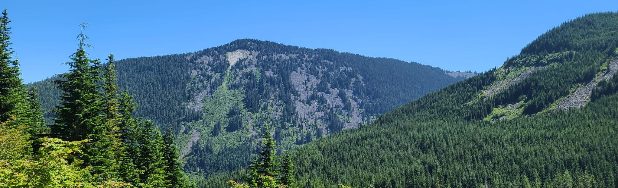 Scout Lake via Hansen Creek Trail, Washington 89 Reviews, Map AllTrails